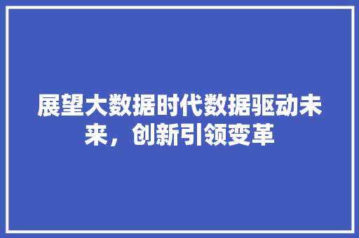 展望大数据时代数据驱动未来，创新引领变革