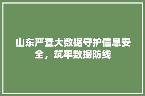 山东严查大数据守护信息安全，筑牢数据防线