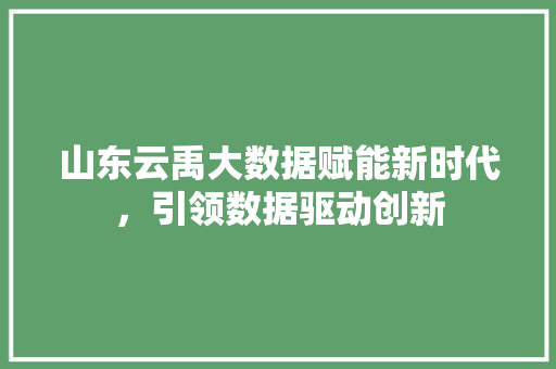 山东云禹大数据赋能新时代，引领数据驱动创新