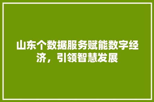 山东个数据服务赋能数字经济，引领智慧发展