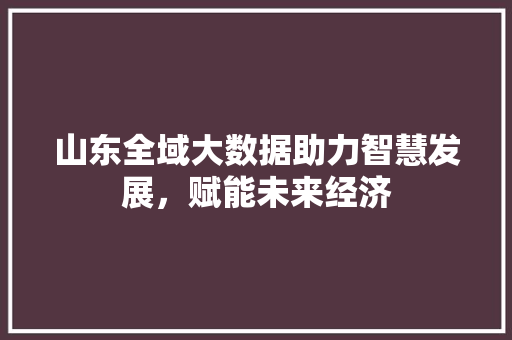 山东全域大数据助力智慧发展，赋能未来经济
