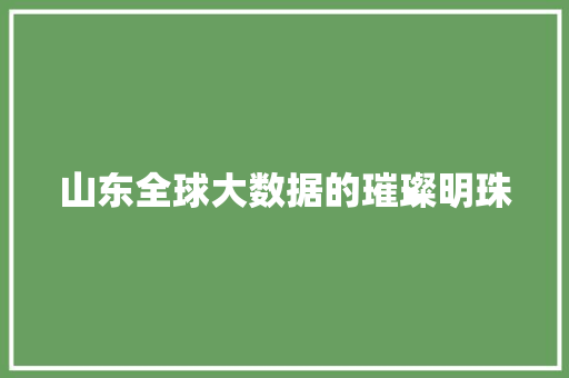 山东全球大数据的璀璨明珠