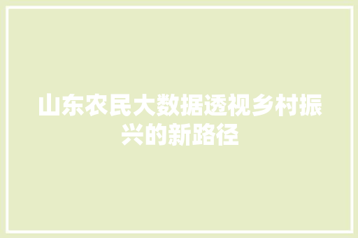 山东农民大数据透视乡村振兴的新路径