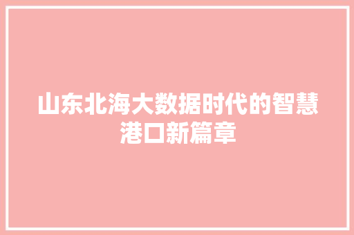 山东北海大数据时代的智慧港口新篇章