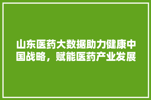山东医药大数据助力健康中国战略，赋能医药产业发展