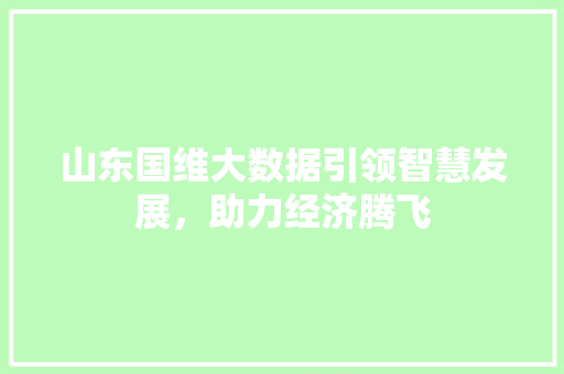 山东国维大数据引领智慧发展，助力经济腾飞