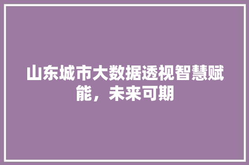 山东城市大数据透视智慧赋能，未来可期