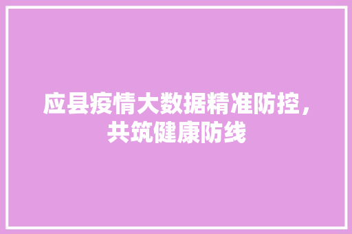 应县疫情大数据精准防控，共筑健康防线