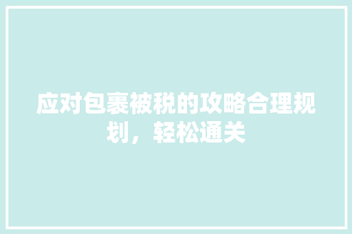 应对包裹被税的攻略合理规划，轻松通关