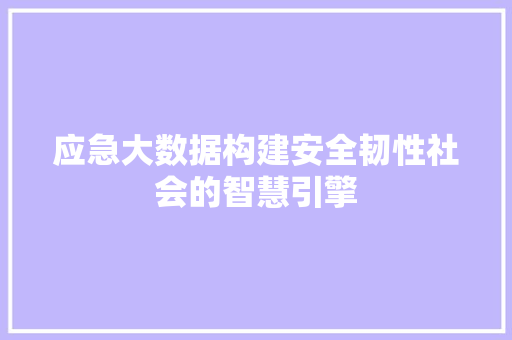 应急大数据构建安全韧性社会的智慧引擎