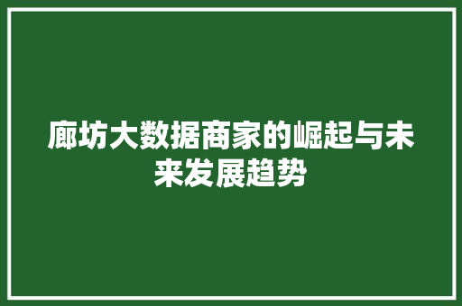 廊坊大数据商家的崛起与未来发展趋势
