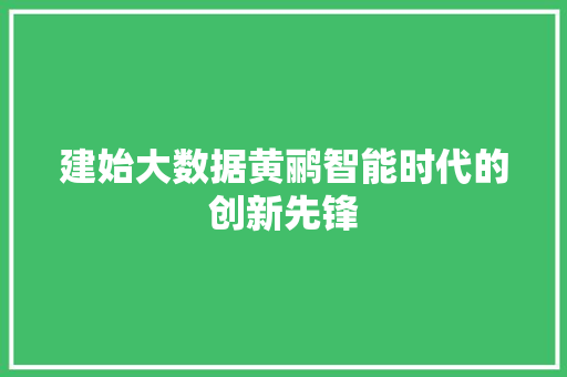 建始大数据黄鹂智能时代的创新先锋