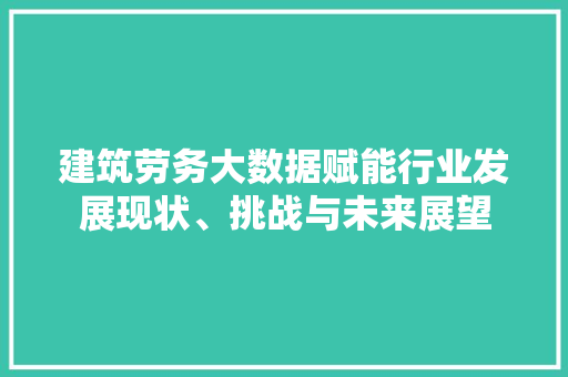 建筑劳务大数据赋能行业发展现状、挑战与未来展望