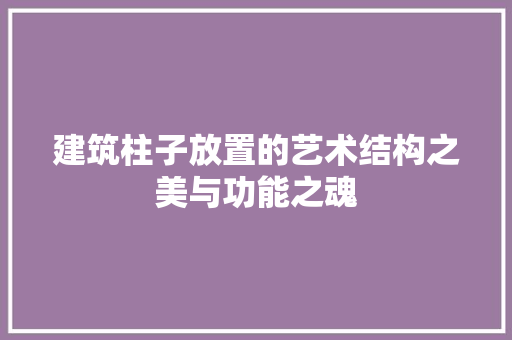 建筑柱子放置的艺术结构之美与功能之魂