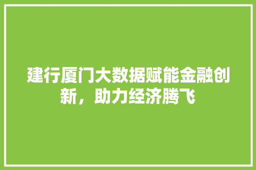 建行厦门大数据赋能金融创新，助力经济腾飞
