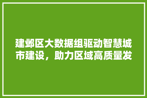 建邺区大数据组驱动智慧城市建设，助力区域高质量发展