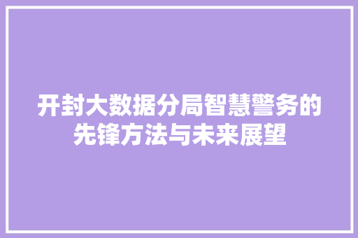 开封大数据分局智慧警务的先锋方法与未来展望