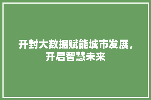 开封大数据赋能城市发展，开启智慧未来