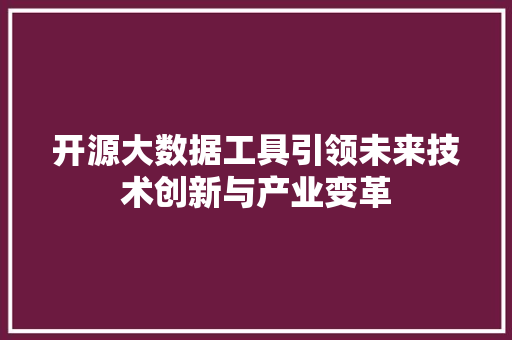 开源大数据工具引领未来技术创新与产业变革
