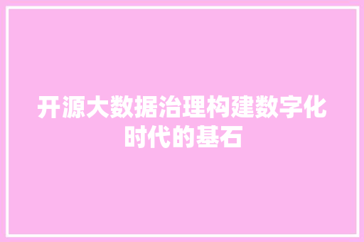 开源大数据治理构建数字化时代的基石