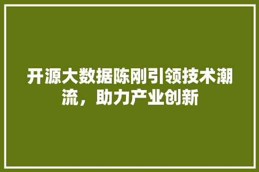 开源大数据陈刚引领技术潮流，助力产业创新