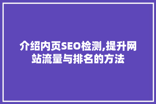 介绍内页SEO检测,提升网站流量与排名的方法