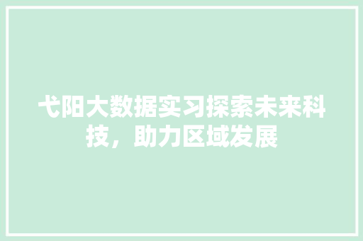 弋阳大数据实习探索未来科技，助力区域发展