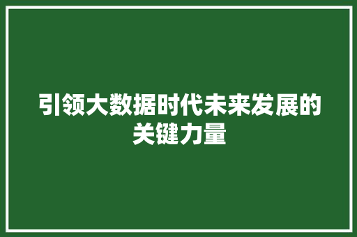 引领大数据时代未来发展的关键力量