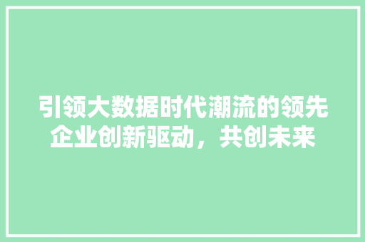 引领大数据时代潮流的领先企业创新驱动，共创未来