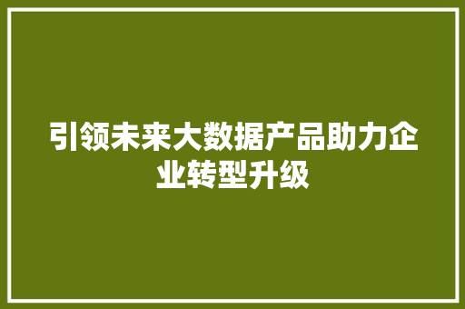 引领未来大数据产品助力企业转型升级