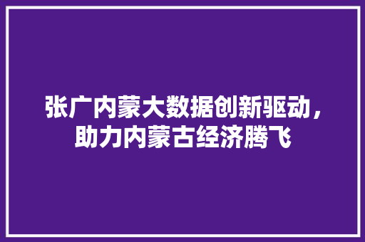 张广内蒙大数据创新驱动，助力内蒙古经济腾飞