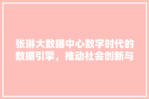 张琳大数据中心数字时代的数据引擎，推动社会创新与发展