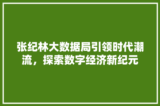 张纪林大数据局引领时代潮流，探索数字经济新纪元