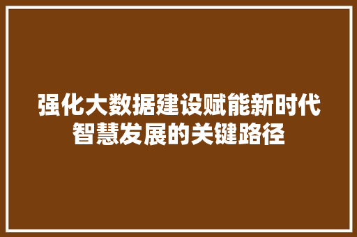 强化大数据建设赋能新时代智慧发展的关键路径