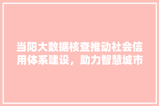 当阳大数据核查推动社会信用体系建设，助力智慧城市发展