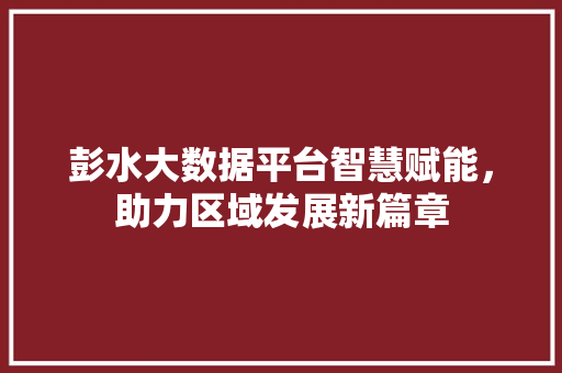 彭水大数据平台智慧赋能，助力区域发展新篇章