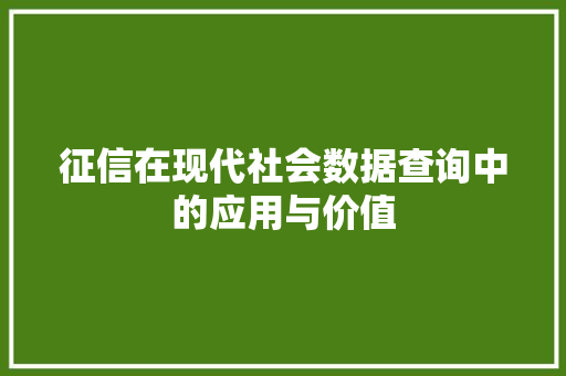 征信在现代社会数据查询中的应用与价值