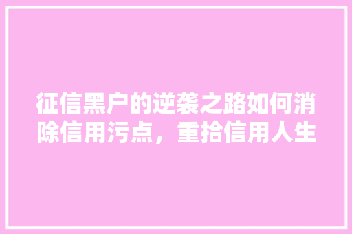 征信黑户的逆袭之路如何消除信用污点，重拾信用人生
