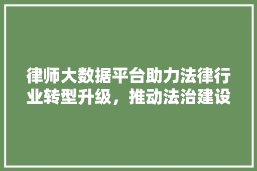 律师大数据平台助力法律行业转型升级，推动法治建设迈向新高度