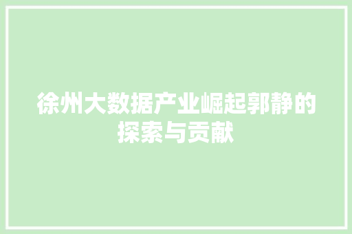 徐州大数据产业崛起郭静的探索与贡献