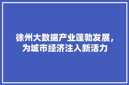 徐州大数据产业蓬勃发展，为城市经济注入新活力