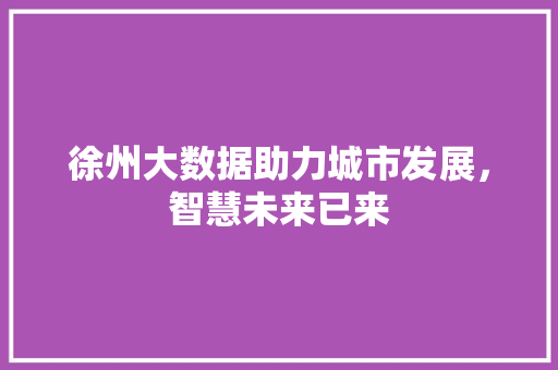 徐州大数据助力城市发展，智慧未来已来