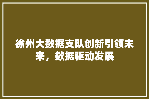 徐州大数据支队创新引领未来，数据驱动发展