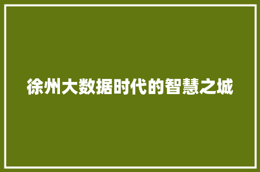 徐州大数据时代的智慧之城