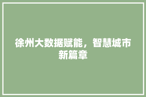 徐州大数据赋能，智慧城市新篇章