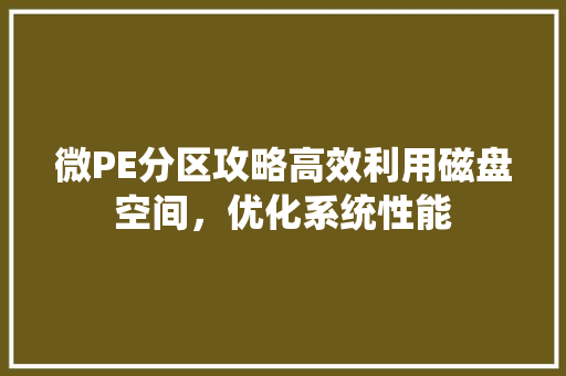 微PE分区攻略高效利用磁盘空间，优化系统性能