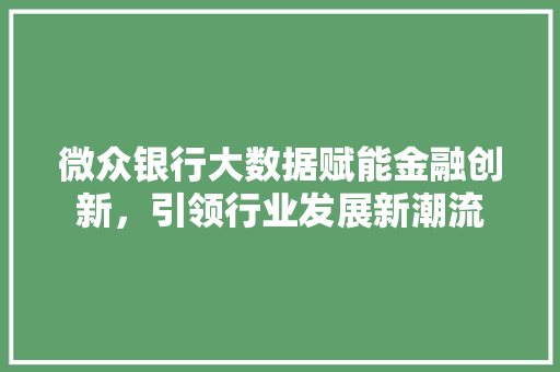 微众银行大数据赋能金融创新，引领行业发展新潮流