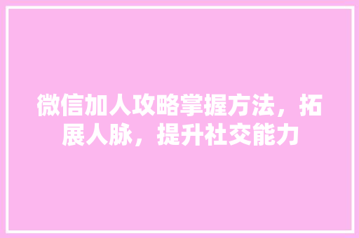微信加人攻略掌握方法，拓展人脉，提升社交能力