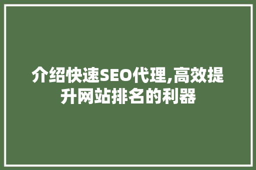 介绍快速SEO代理,高效提升网站排名的利器