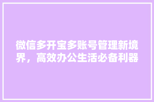 微信多开宝多账号管理新境界，高效办公生活必备利器